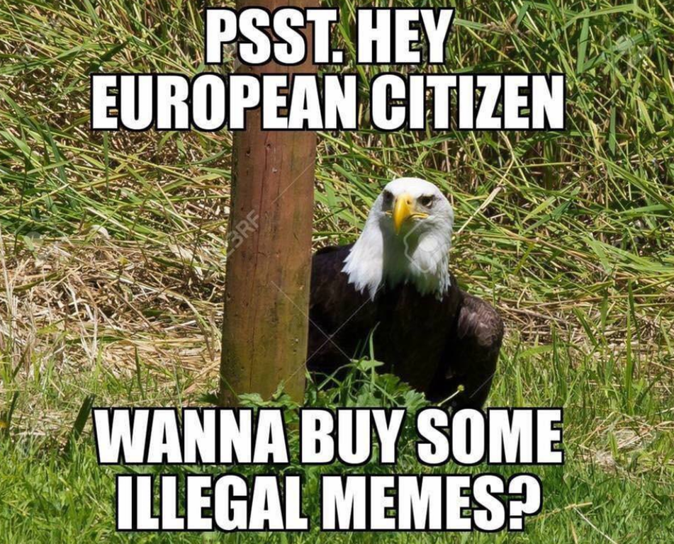 Illegal Memes American Intelligence Media