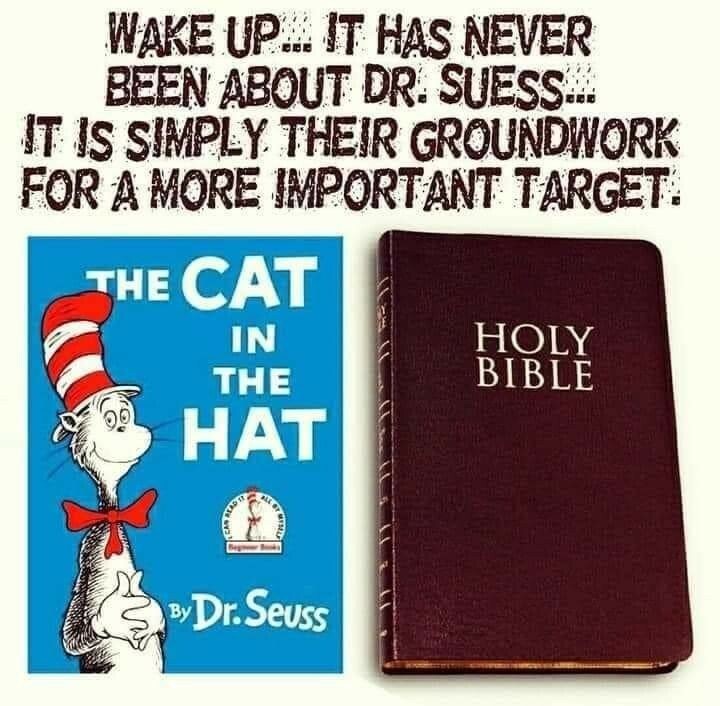 Cat In The Hat Bible Lesson Cat In The Hat Bible Lesson